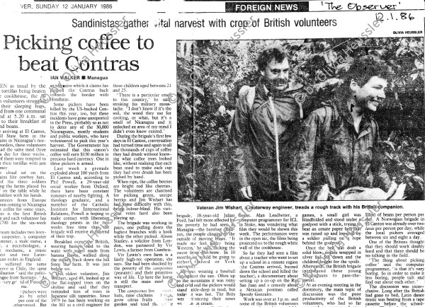 Image of sheet 19860010 photo 31: für den britischen «The Observer» mit dem englischen britischen Musikjournalisten Ian Walker. (gest.) Britische Kaffeebrigaden solidarisieren sich mit den Nicaraguanischen Kaffeepflückern Labor Party Mitglieder auf dem Weg zum Pflücken. Kaffeestauden. (The Observer) Reste des Films von DHL verloren. Nicaragua 1986 √